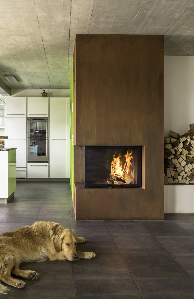 Chien couché devant une cheminée Ruegg moderne et bois de feu.
